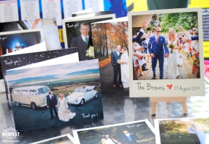 wedfest wedding thank you cards