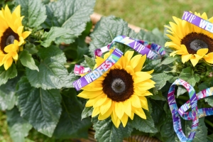 wedfest festival wedding wristbands