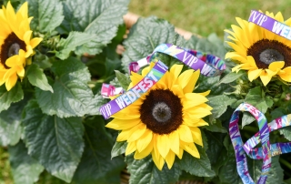 wedfest festival wedding wristbands