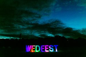 wedfest wedding