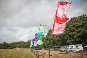 festival wedding flags