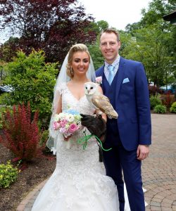 owl themed wedding