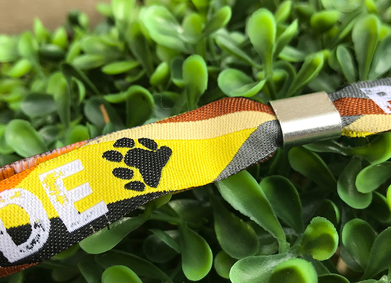 bear pride paw wristbands