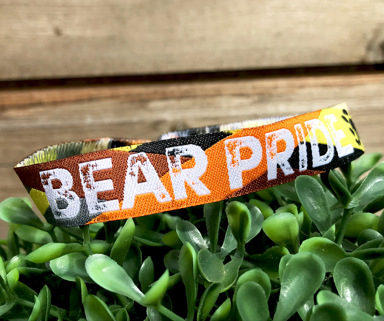 bear pride wristband