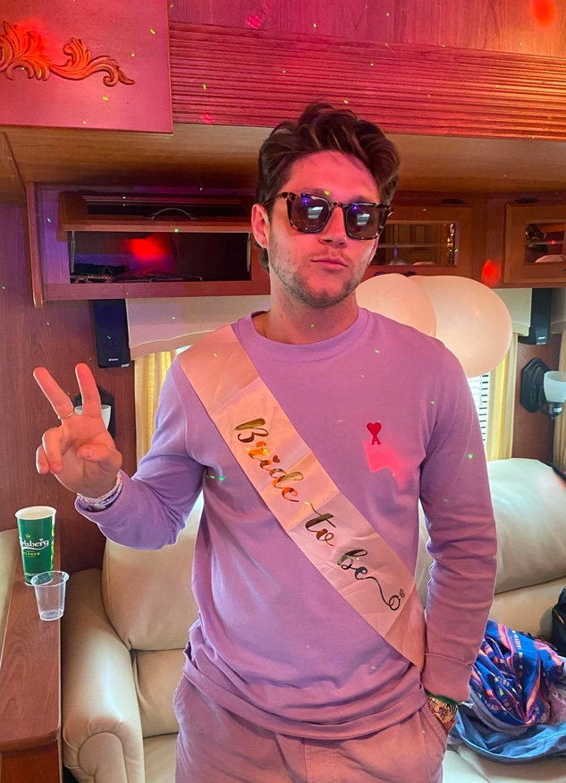 niall horan glasthenbury hen party glastonbury